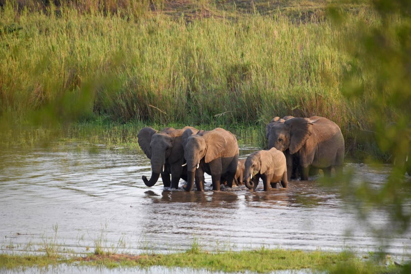 Mziki Safari Lodge, Vaalkop Dam, Южная Африка
