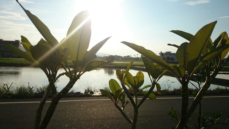 Yilan Real Fun Homestay, Dongshan, Taiwán