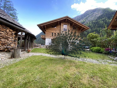 Grand Chalet, Flattach, Austria