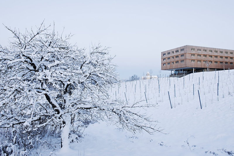 Loisium Wine & Spa Hotel Südsteiermark, Ehrenhausen, Austria