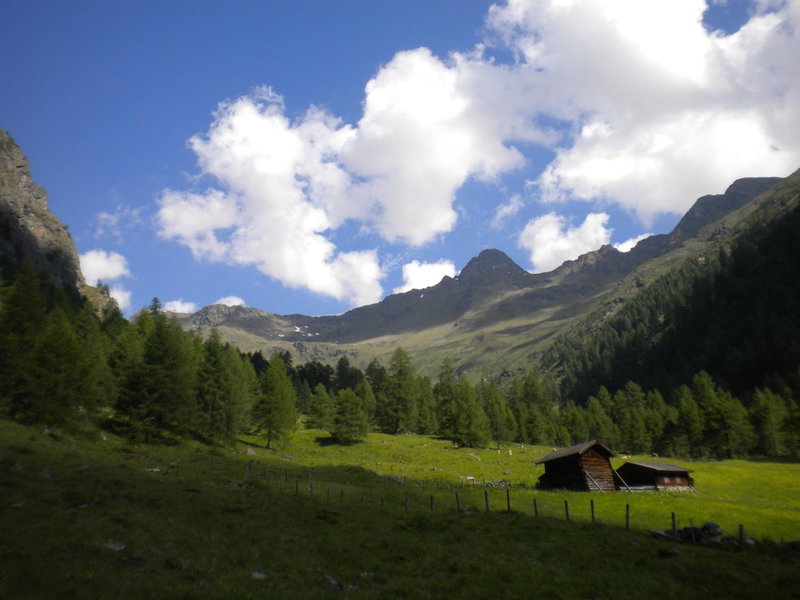 Bed & Breakfast Dolomiti Bey Haus Pinter, Assling, Austria
