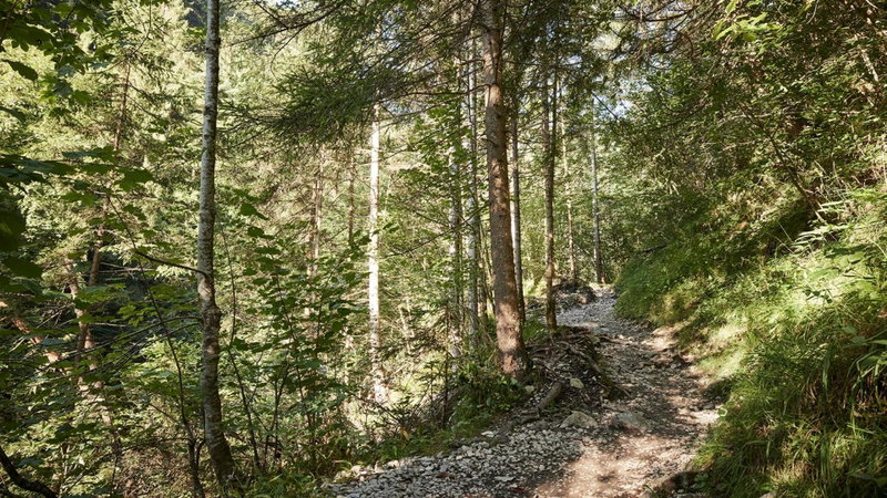 Der Brandstetterhof - Adults only, Stans, Austria