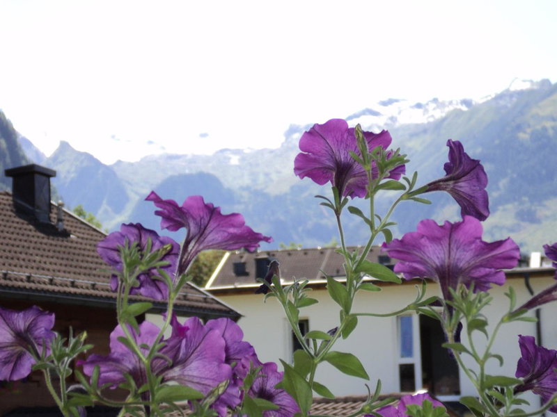 Apartmenthaus Gotthardt, Kaprun, Austria