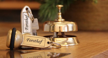 Pension Forsthof, Sankt Johann im Pongau, Austria