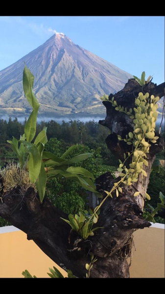 Mayon Lodging House, Legazpi, Philippines
