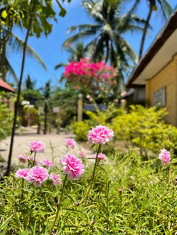 Victory Seaside Home, Bantayan Island, Philippines