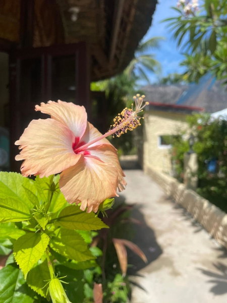 Victory Seaside Home, Bantayan Island, Philippines