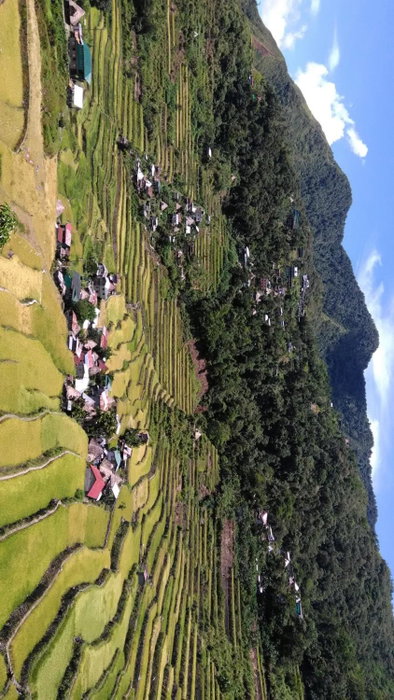 Batad Lhorens Inn and Restaurant, Banaue, Philippines