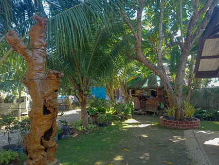 Pitaya Native Guest House, Panglao, Philippines