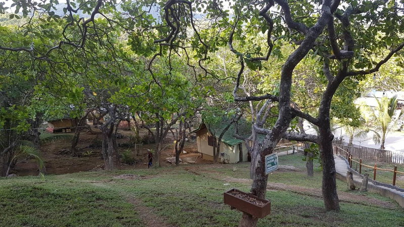 CED Garden, El Nido, Philippines