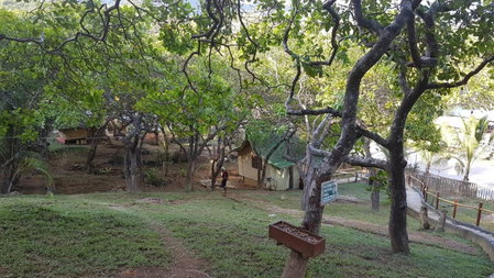 CED Garden, El Nido, Philippines