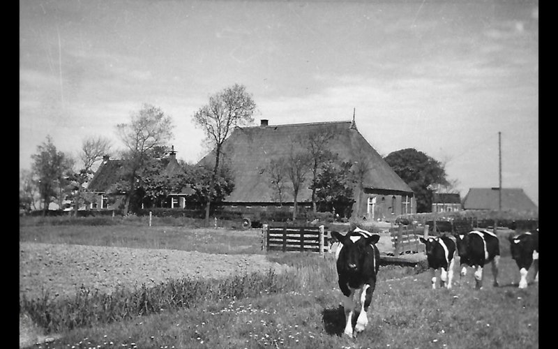 De Bedstee, Holwerd, The Netherlands