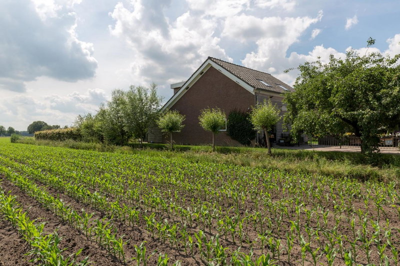 De Nieuwe Warande, Tilburg, The Netherlands