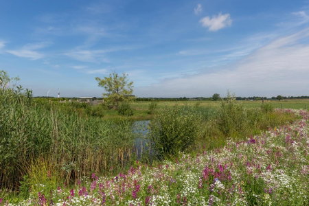De Nieuwe Warande, Tilburg, The Netherlands