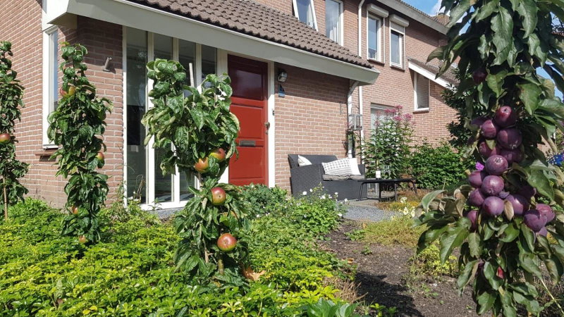 Logeren bij Grea, Zwartsluis, The Netherlands