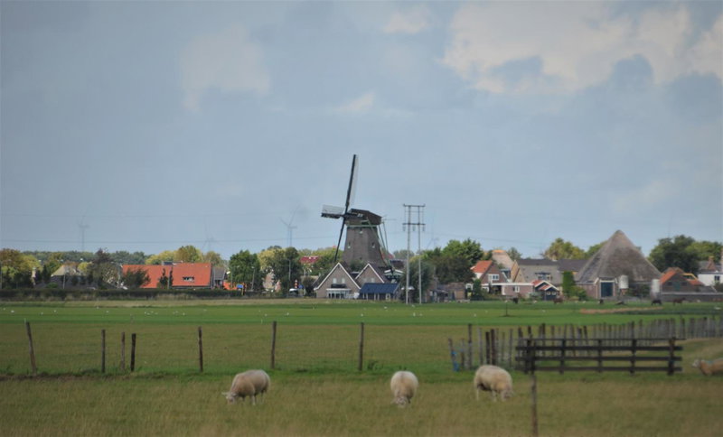 B&B De Kamer, Wervershoof, The Netherlands