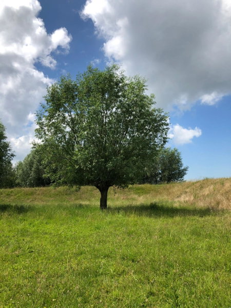 B&B de Tol, Hulst, The Netherlands