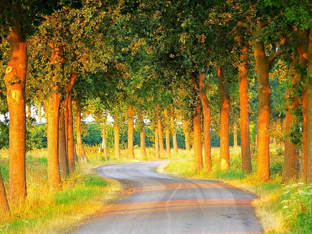 Boerderij Zonneveld, Rossum, The Netherlands