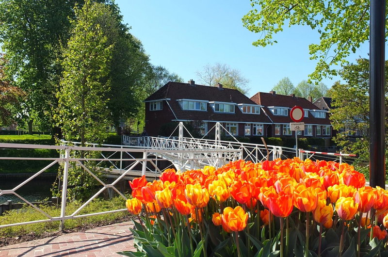 B&B Ferdivedaasje, Dokkum, The Netherlands