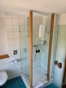 Hotel Restaurant Schiff, Pfäffikon, Швейцария