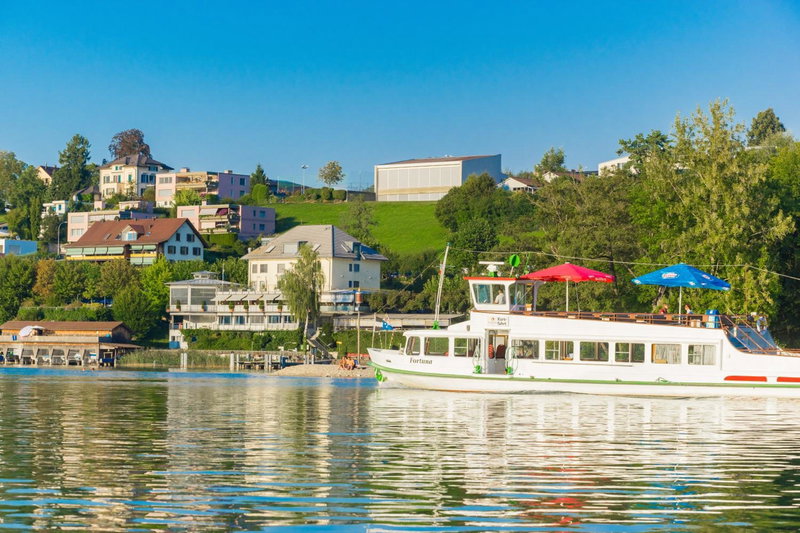 Seehotel Delphin, Meisterschwanden, Suisse