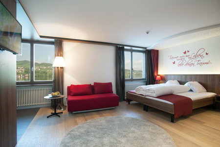 Seehotel Delphin, Meisterschwanden, Suisse
