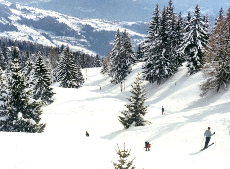 Woodland Village Anzère, Anzère, Switzerland