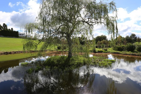 Maungakawa Villa, Cambridge, New Zealand