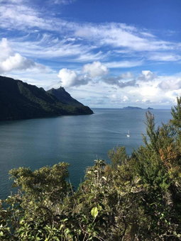 Taurikura Bay Relax and Explore, Whangarei Heads, Nueva Zelanda