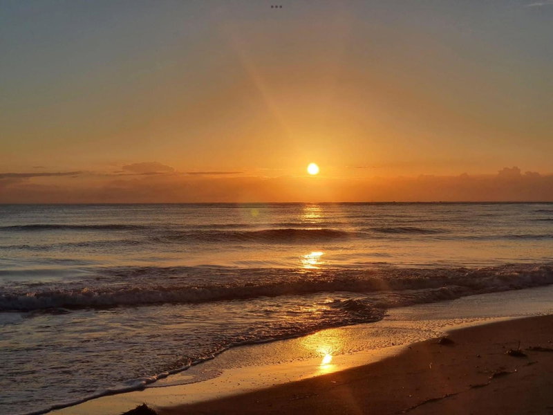 Beach Belle, Bowentown, New Zealand