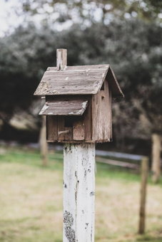 Kakariki Cottage, Papakura, New Zealand