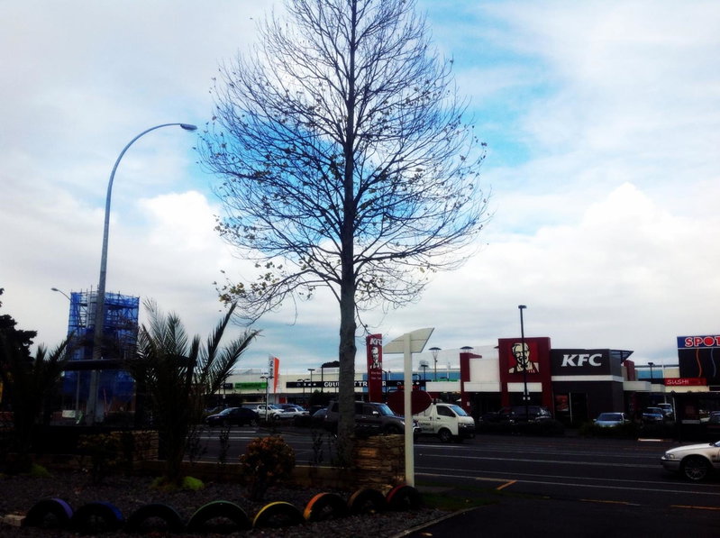 Rainbow Motel & Guest House, Tauranga, New Zealand