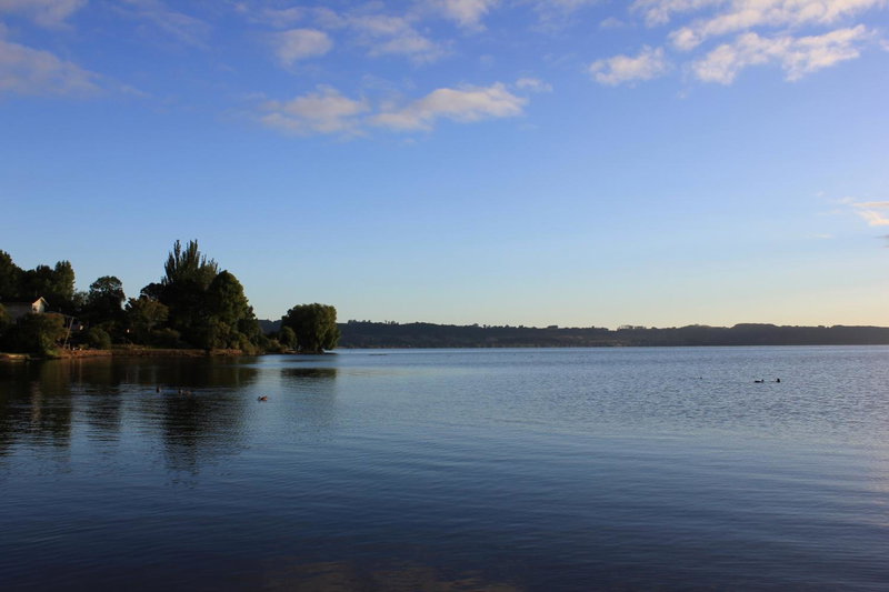 Lakeview Small Studio, Rotorua, New Zealand