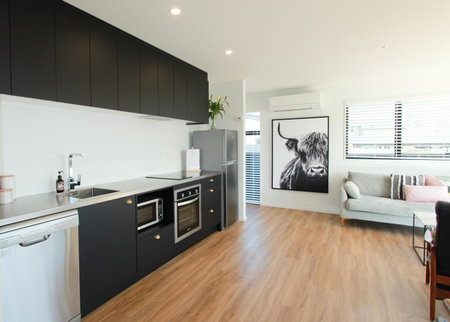 3 - Sunny Brand New house, Wanaka, New Zealand