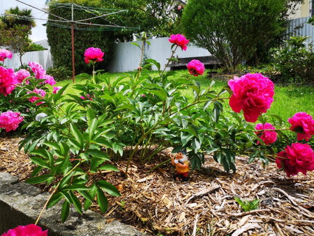 Hello Seaview! 4 BRs House in Central Location!, Oamaru, New Zealand