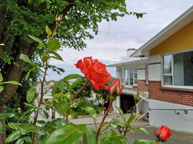 Hello Seaview! 4 BRs House in Central Location!, Oamaru, New Zealand