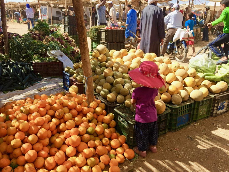 Dar Sidi Bounou, Mhamid, Maroc
