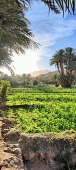 Guesthouse Panorama Todra, Tinerhir, Marruecos