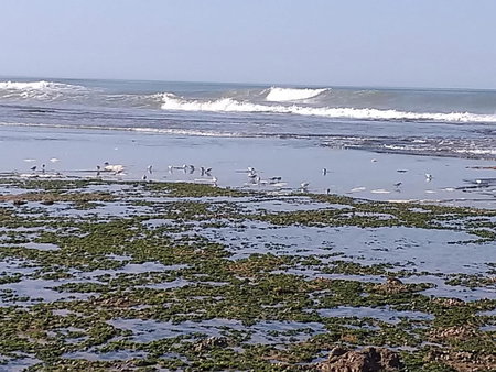 dar boujdaa, Sidi Kaouki, Morocco