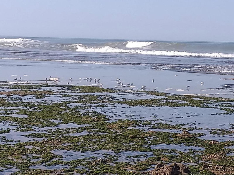 dar boujdaa, Sidi Kaouki, Morocco