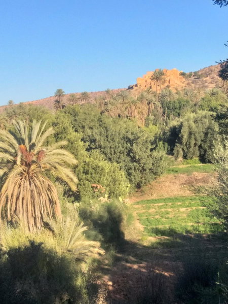 Oasis de Tiout, Taroudant, Morocco