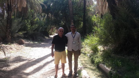 Oasis de Tiout, Taroudant, Morocco
