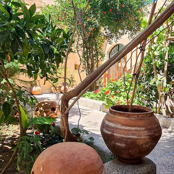 Oasis de Tiout, Taroudant, Morocco