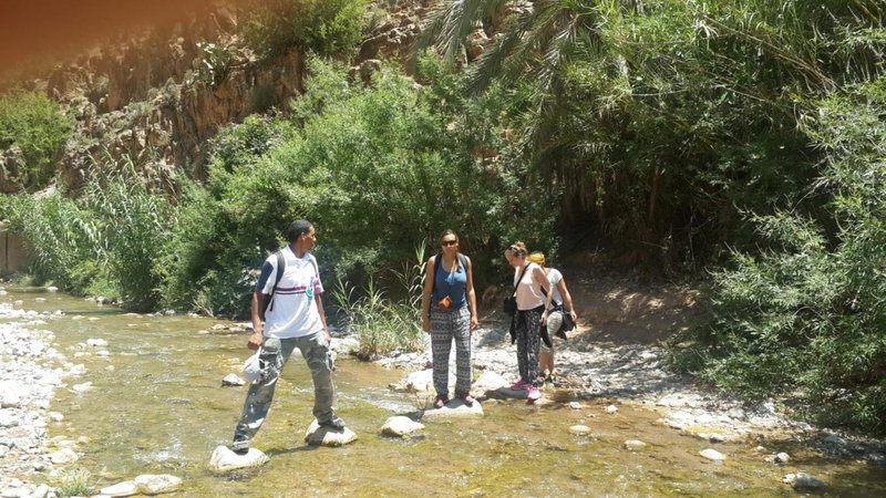 Oasis de Tiout, Taroudant, Morocco