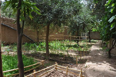 A Secret Garden, Tinerhir, Marruecos
