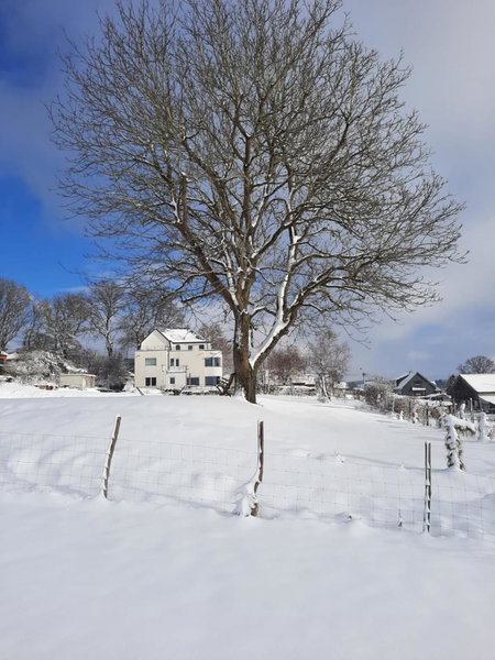 La Roseraie, Stavelot, Бельгия