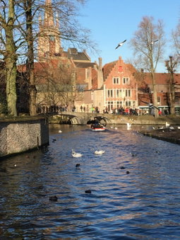B&B My Suite Home, Bruges, Бельгия