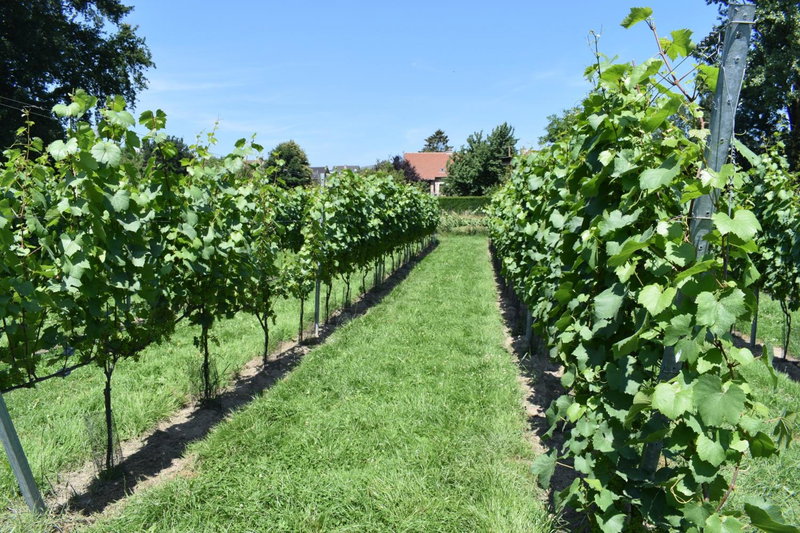 B&B Gellick, Lanaken, Belgique