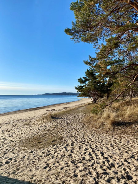 Kaptenshuset B&B och Hotell, Kivik, Sweden