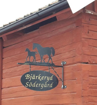 Bjärkeryd Södergård Bed & Stable, Kisa, Sweden